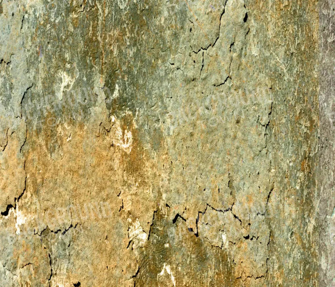 Dispatch 12X10 Ultracloth ( 144 X 120 Inch ) Backdrop