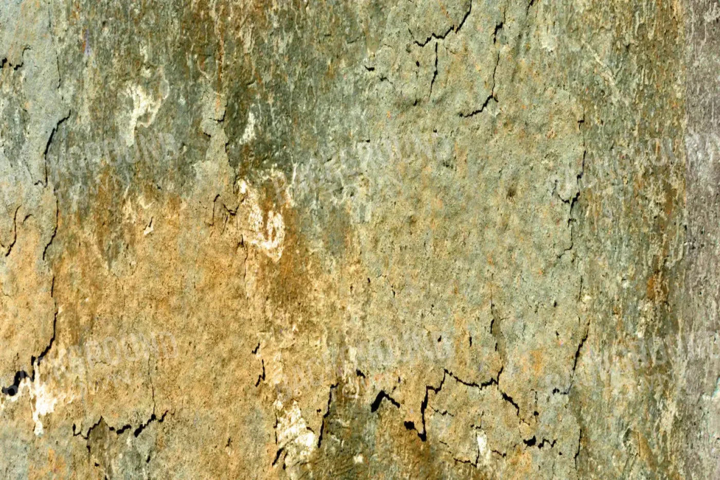 Dispatch 8X5 Ultracloth ( 96 X 60 Inch ) Backdrop