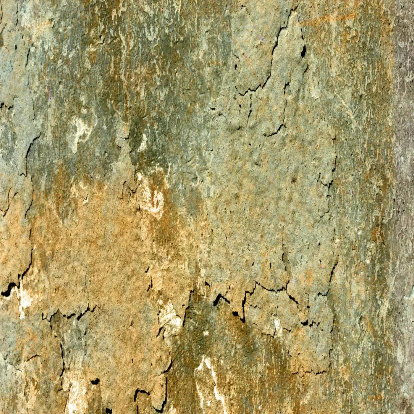 Dispatch 5X5 Rubbermat Floor ( 60 X Inch ) Backdrop