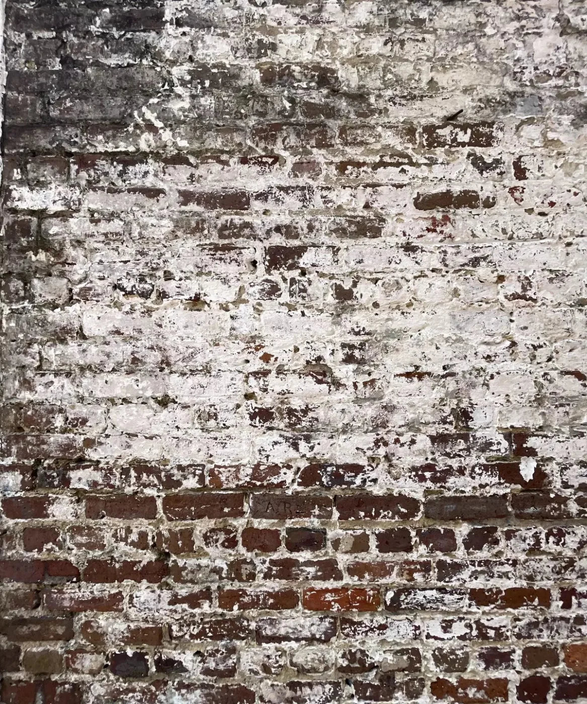 Beige Brick and Stone Backdrop for Photography