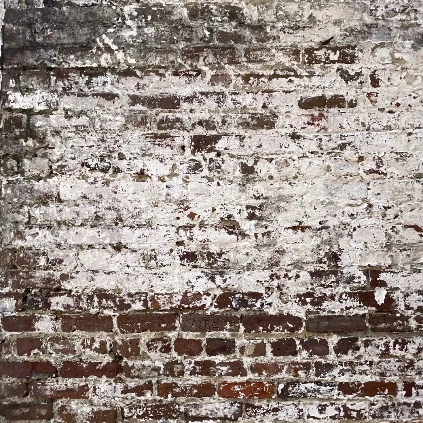 Distressed Brickwork 8X8 Fleece ( 96 X Inch ) Backdrop
