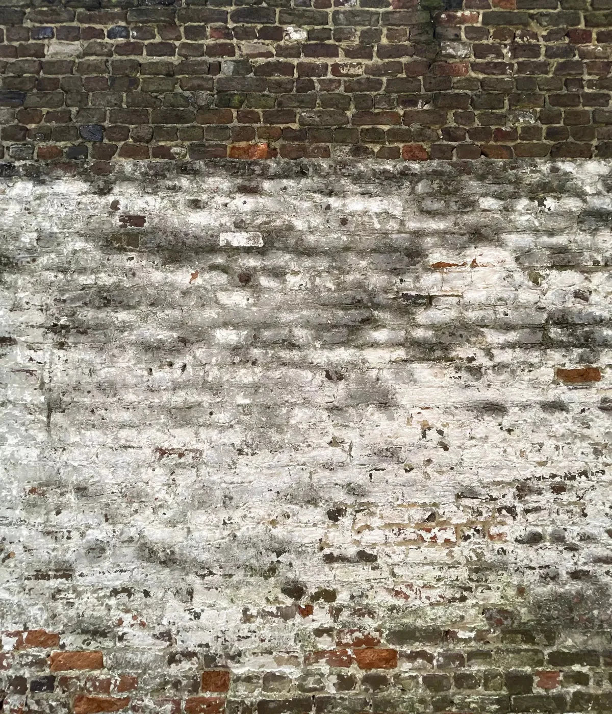 Distressed Wall 10X12 Ultracloth ( 120 X 144 Inch ) Backdrop