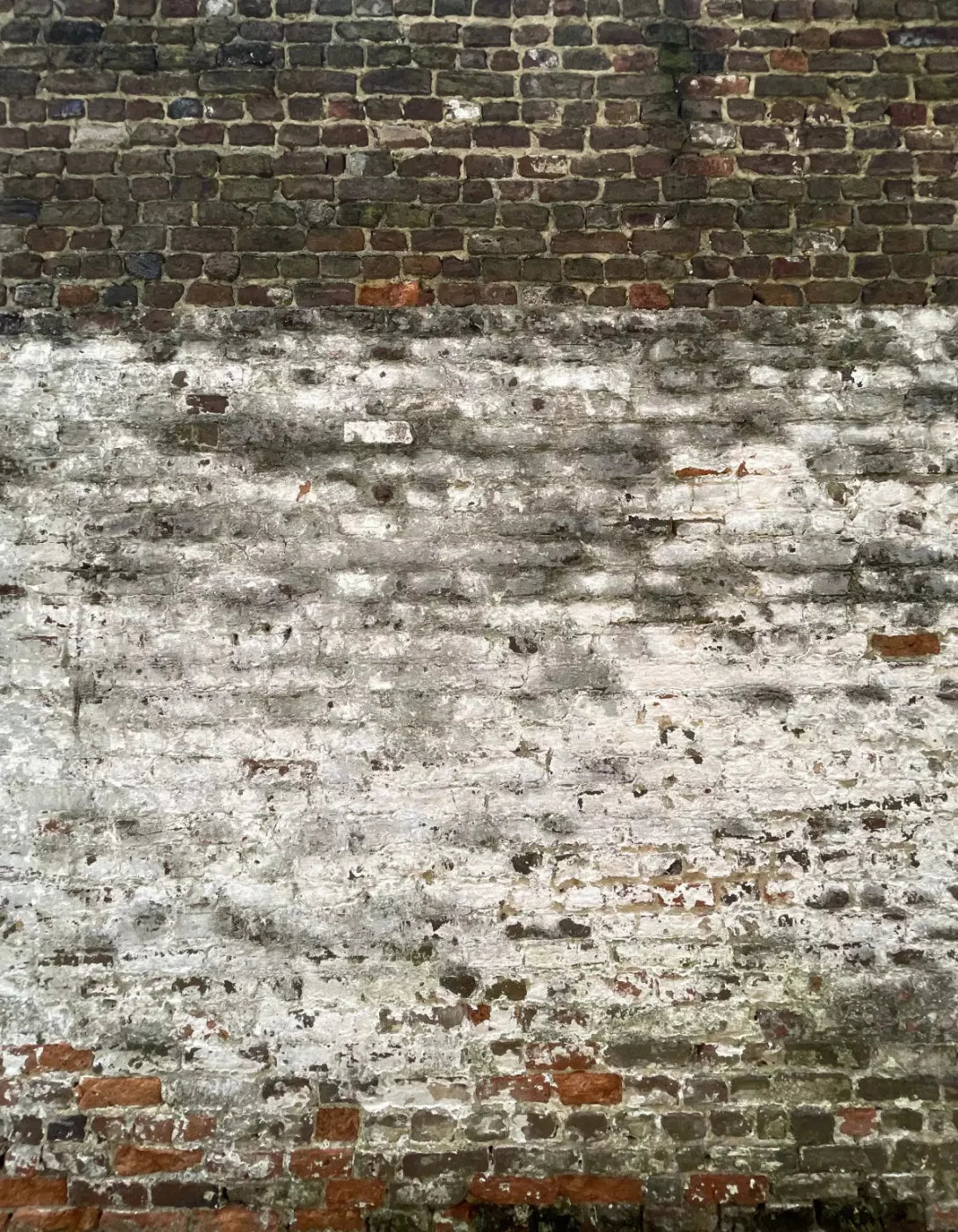 Distressed Wall 6X8 Fleece ( 72 X 96 Inch ) Backdrop