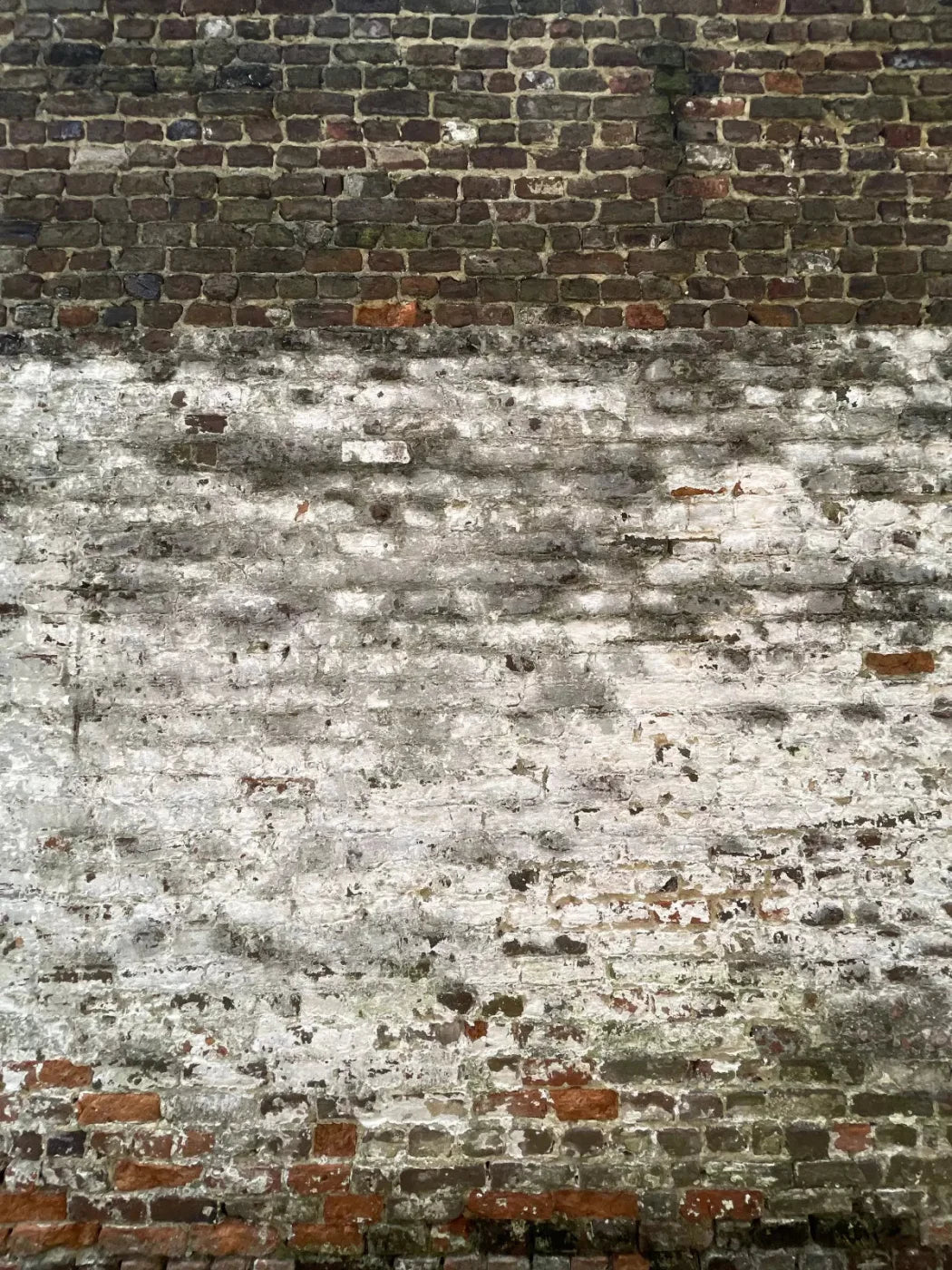 Distressed Wall 8X10 Fleece ( 96 X 120 Inch ) Backdrop
