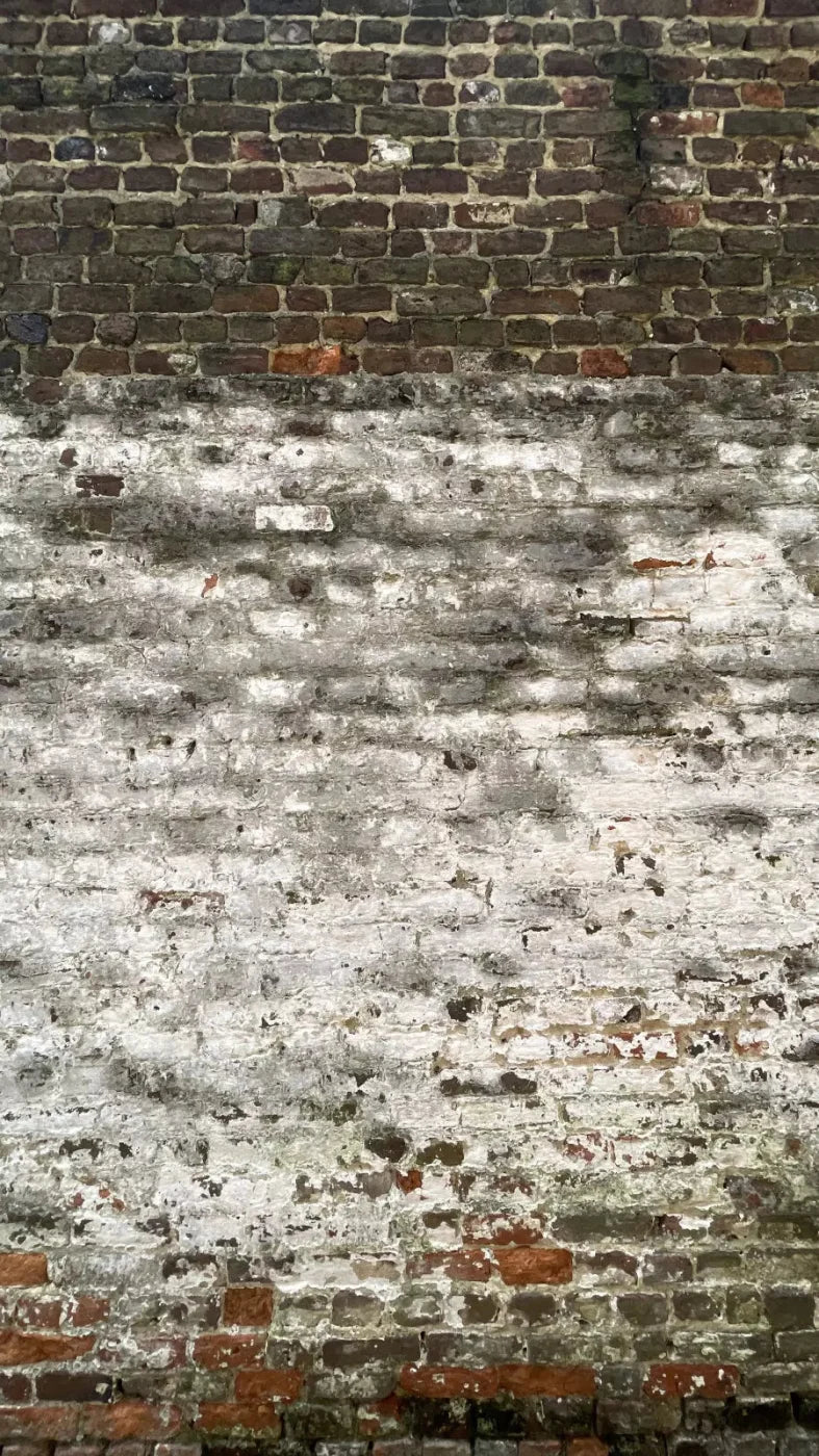 Distressed Wall 8X14 Ultracloth ( 96 X 168 Inch ) Backdrop