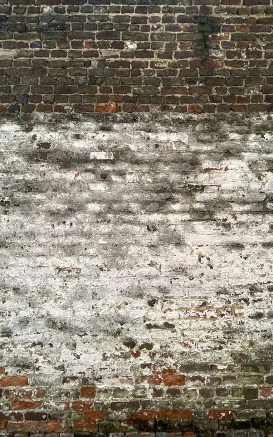 Distressed Wall 9X14 Ultracloth ( 108 X 168 Inch ) Backdrop