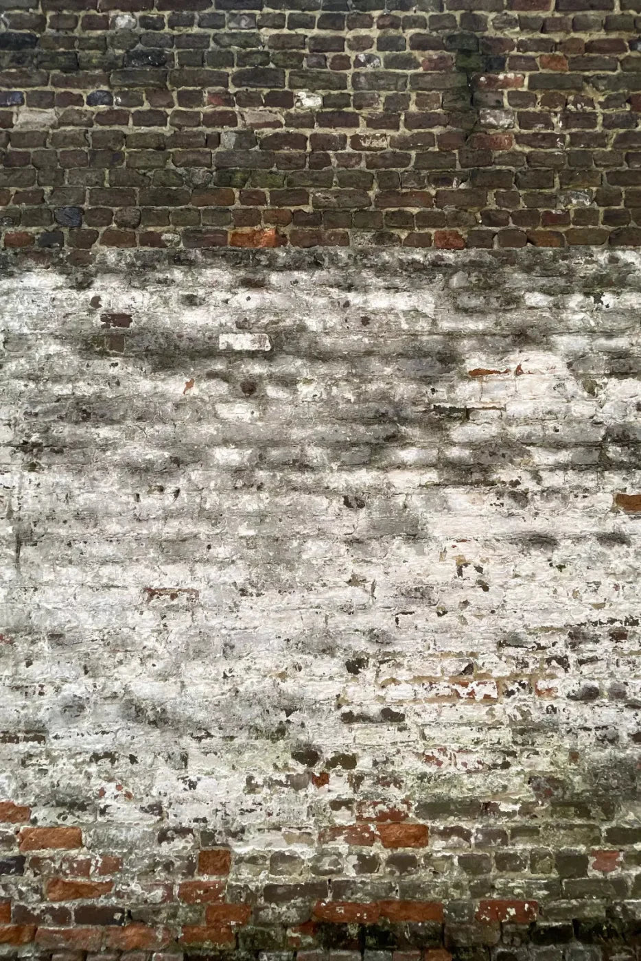 Distressed Wall Backdrop