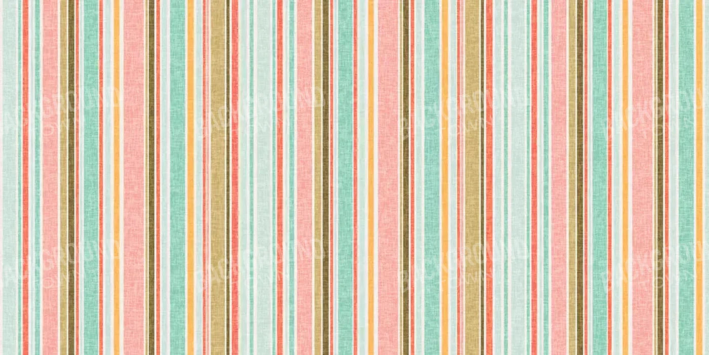 Dita 20X10 Ultracloth ( 240 X 120 Inch ) Backdrop