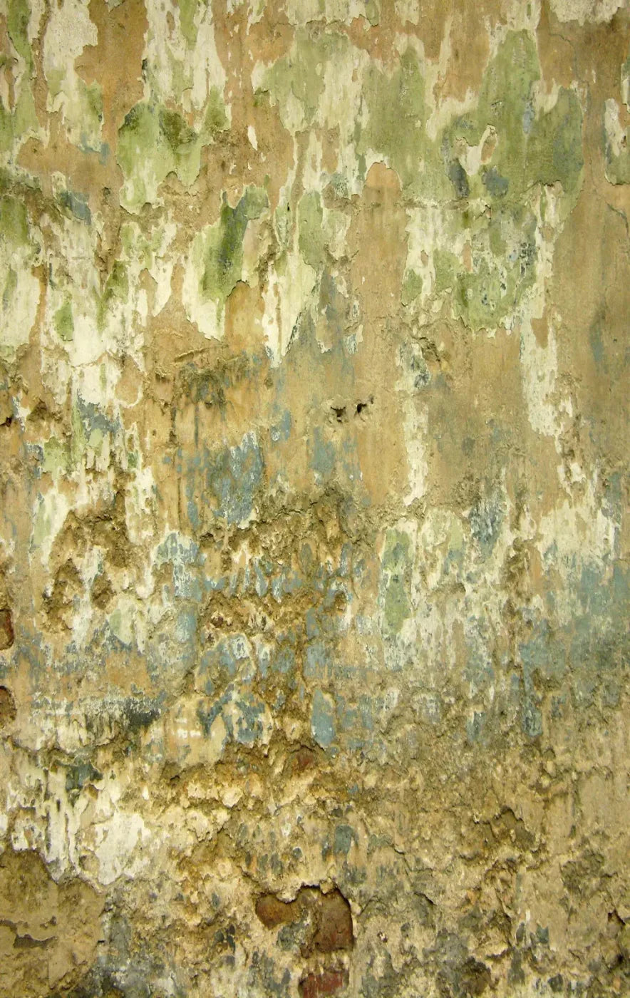 Dixon 10X16 Ultracloth ( 120 X 192 Inch ) Backdrop