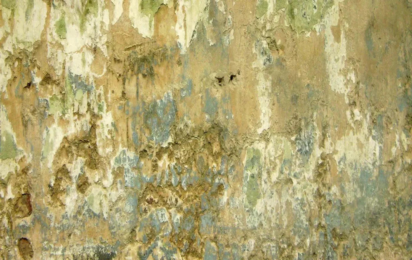 Dixon 16X10 Ultracloth ( 192 X 120 Inch ) Backdrop