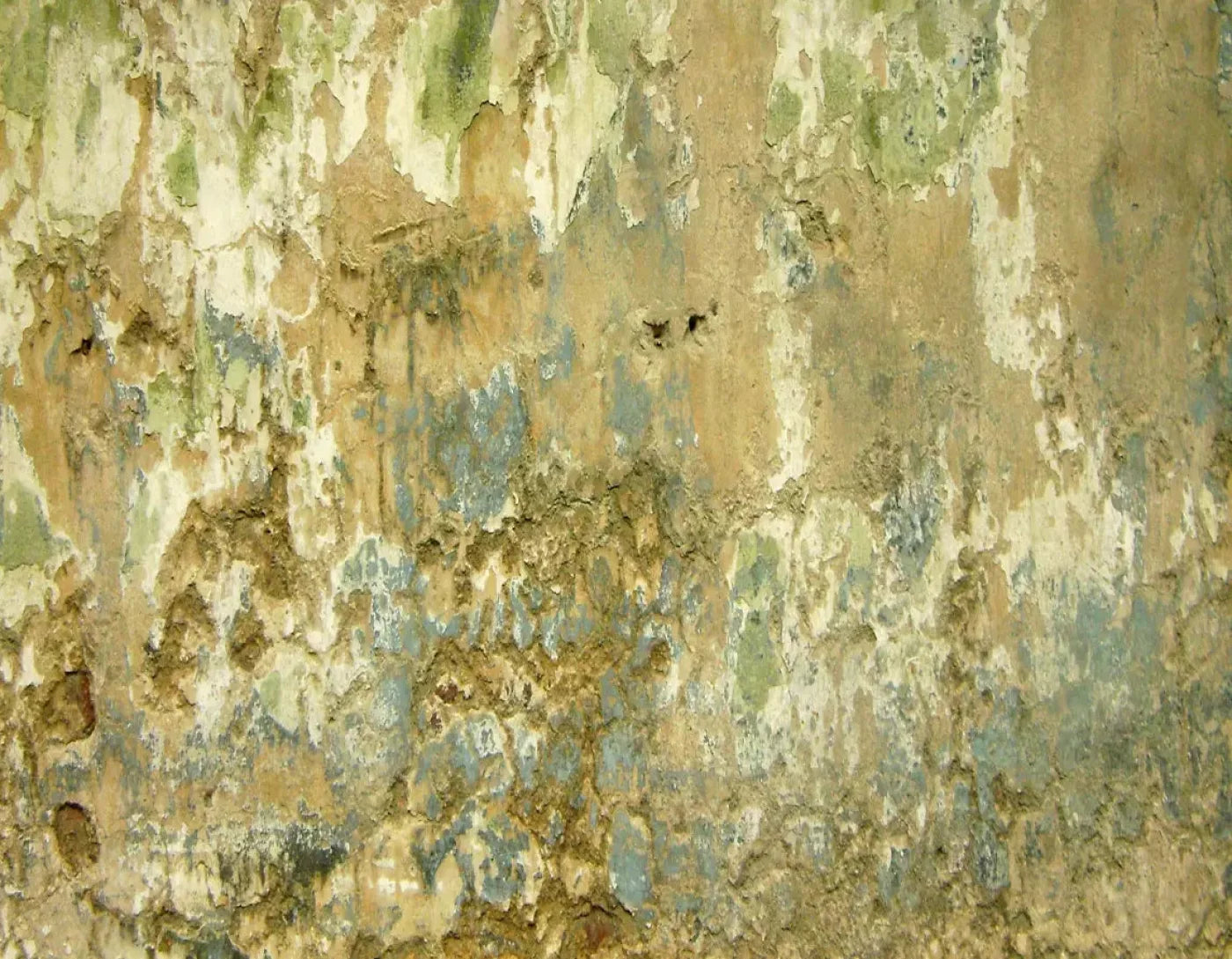 Dixon 8X6 Fleece ( 96 X 72 Inch ) Backdrop