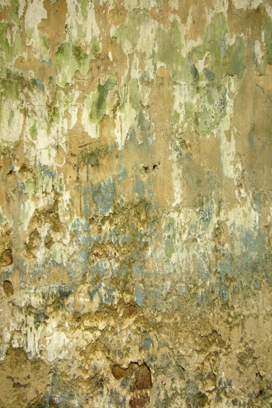 Dixon Backdrop