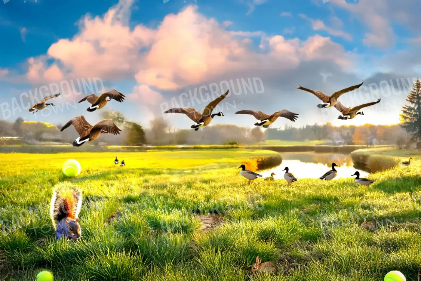 Dog Dreams 12’x8’ UltraCloth (144 x 96 inch) Backdrop