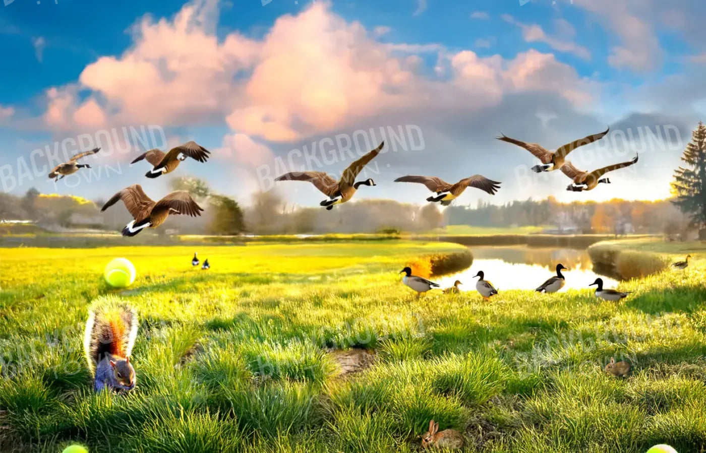 Dog Dreams 14’x9’ UltraCloth (168 x 108 inch) Backdrop