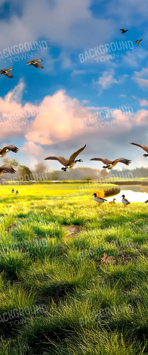 Dog Dreams 5’x12’ UltraCloth for Westcott X-Drop (60 x 144 inch) Backdrop