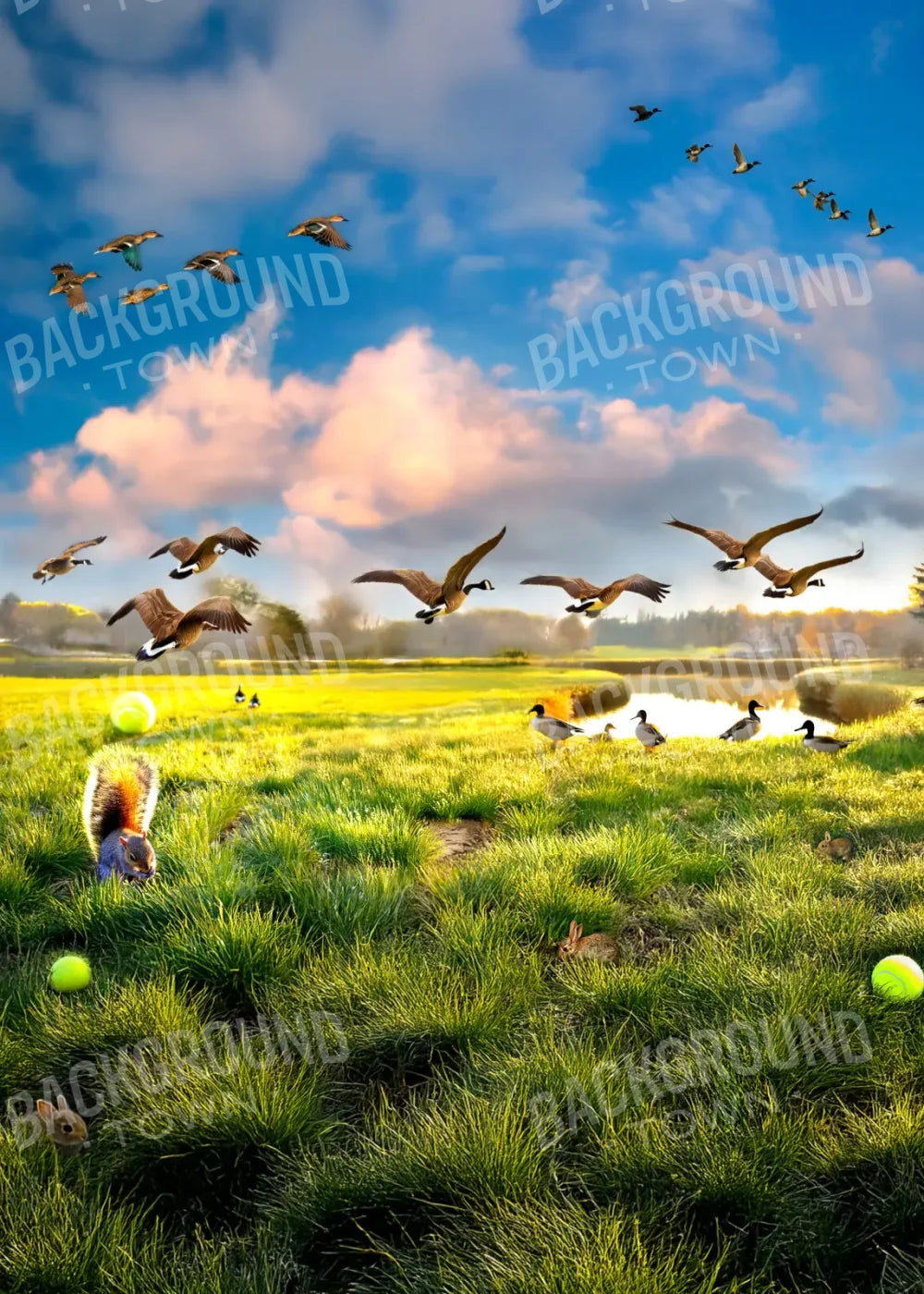 Dog Dreams 5’x7’ UltraCloth (60 x 84 inch) Backdrop