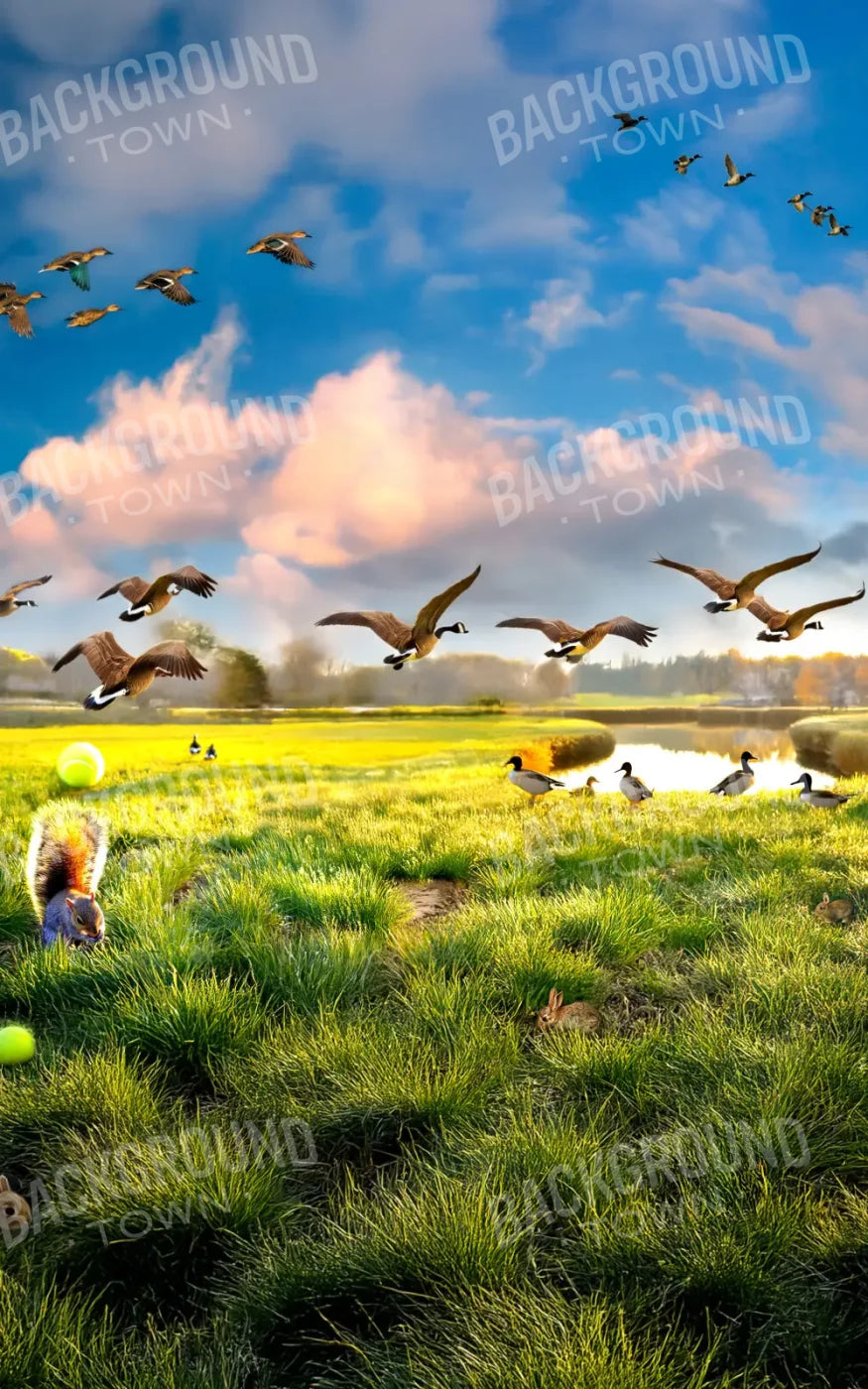 Dog Dreams 5’x8’ UltraCloth (60 x 96 inch) Backdrop