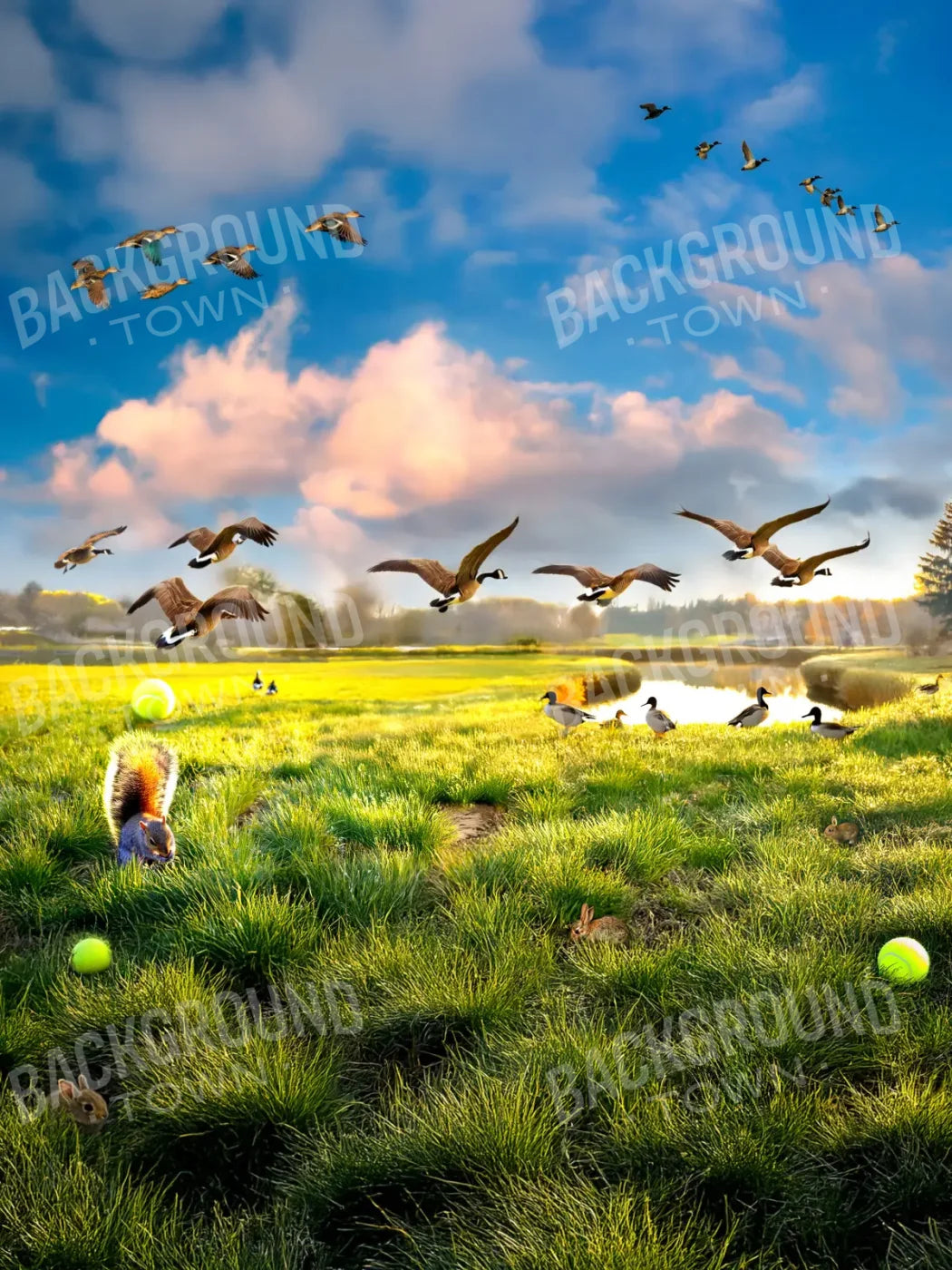 Dog Dreams 6’x8’ Fleece (72 x 96 inch) Backdrop