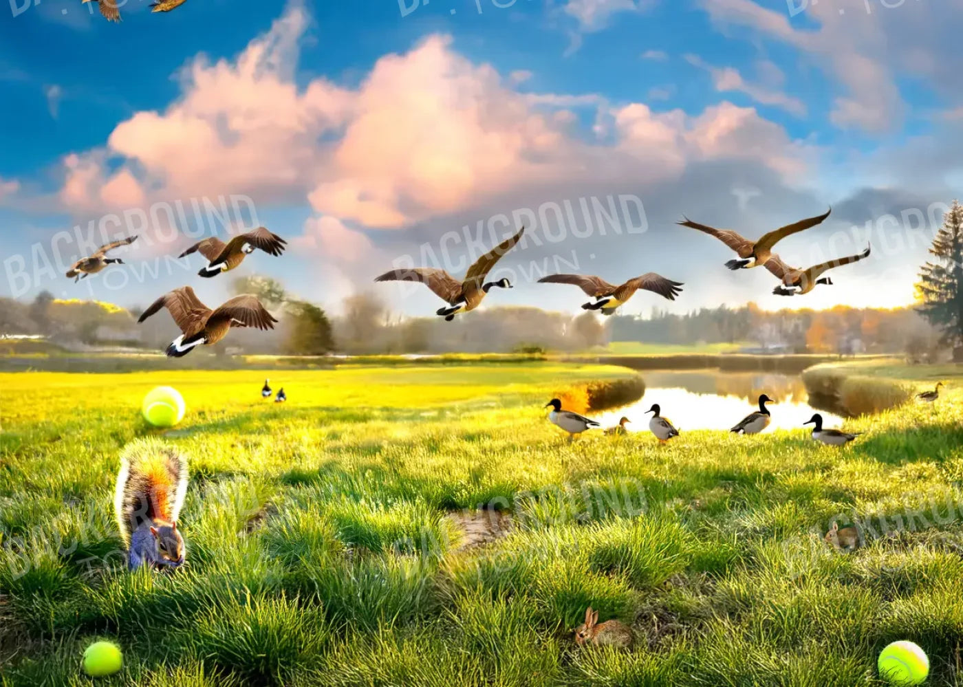 Dog Dreams 7’x5’ UltraCloth (84 x 60 inch) Backdrop