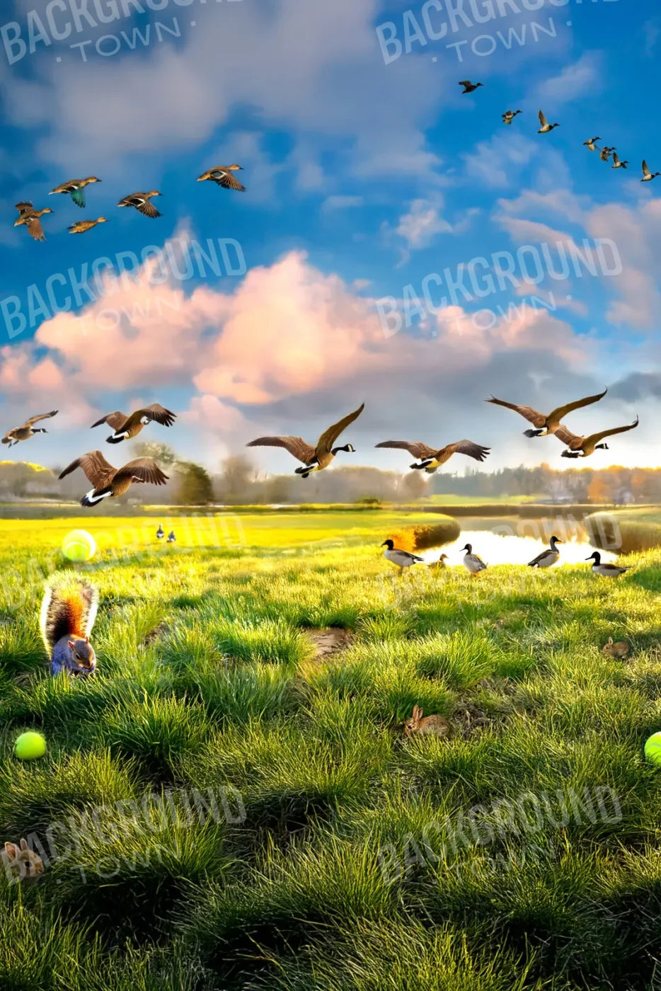 Dog Dreams 8’x12’ UltraCloth (96 x 144 inch) Backdrop