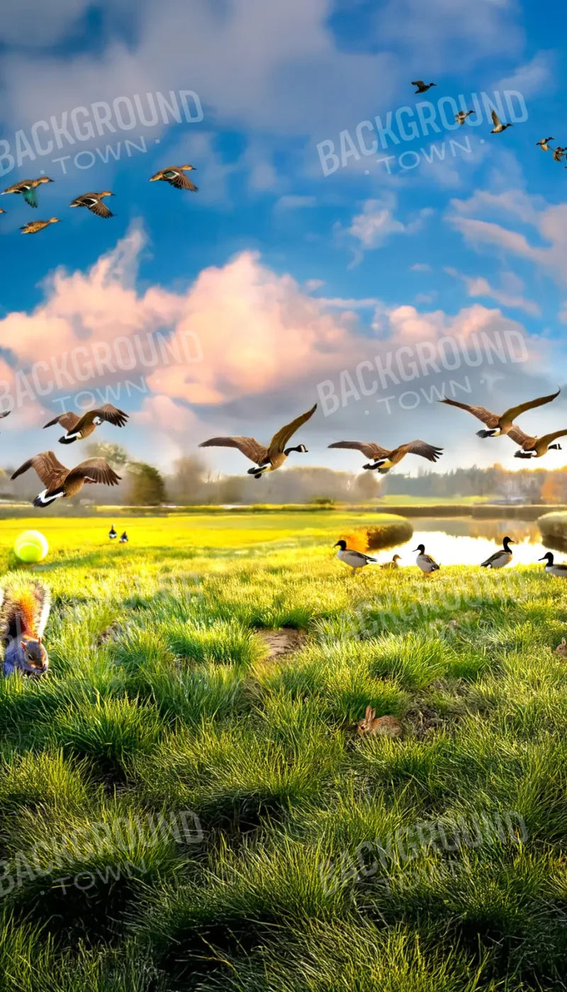 Dog Dreams 8’x14’ UltraCloth (96 x 168 inch) Backdrop