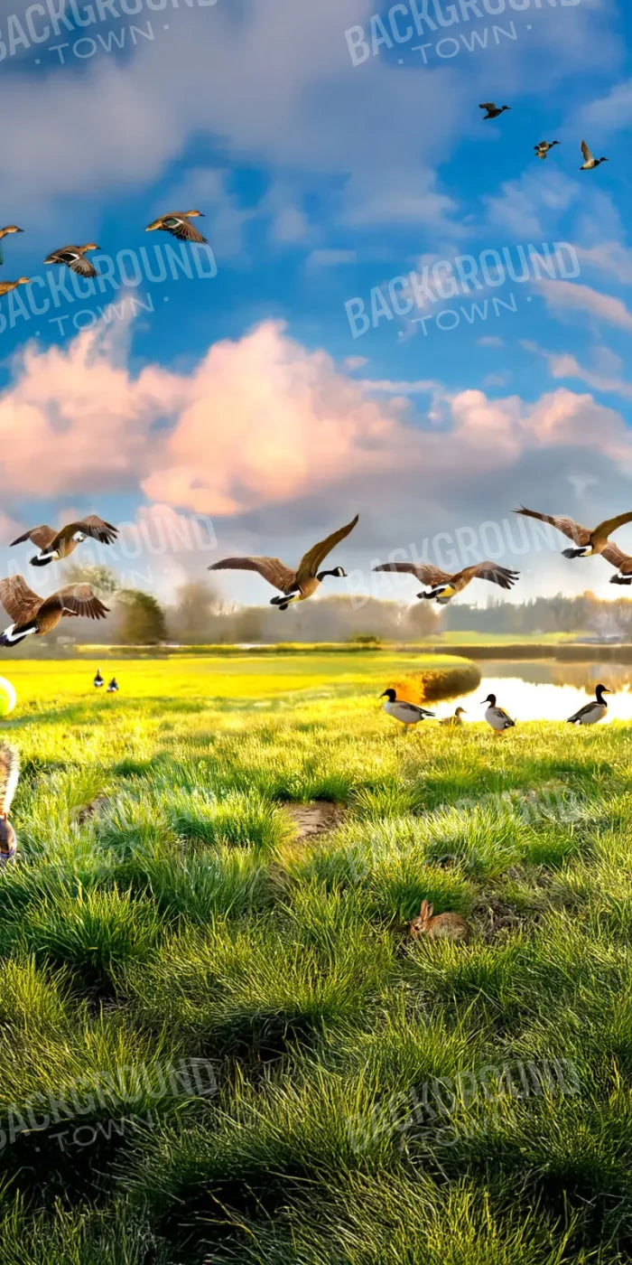 Dog Dreams 8’x16’ UltraCloth (96 x 192 inch) Backdrop