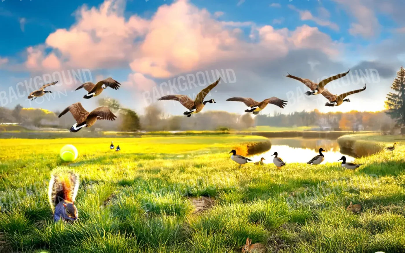 Dog Dreams 8’x5’ UltraCloth (96 x 60 inch) Backdrop