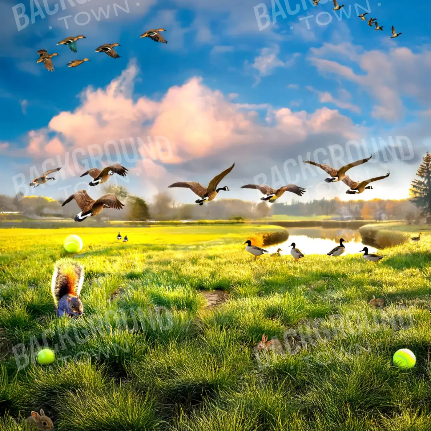 Dog Dreams 8’x8’ Fleece (96 x 96 inch) Backdrop