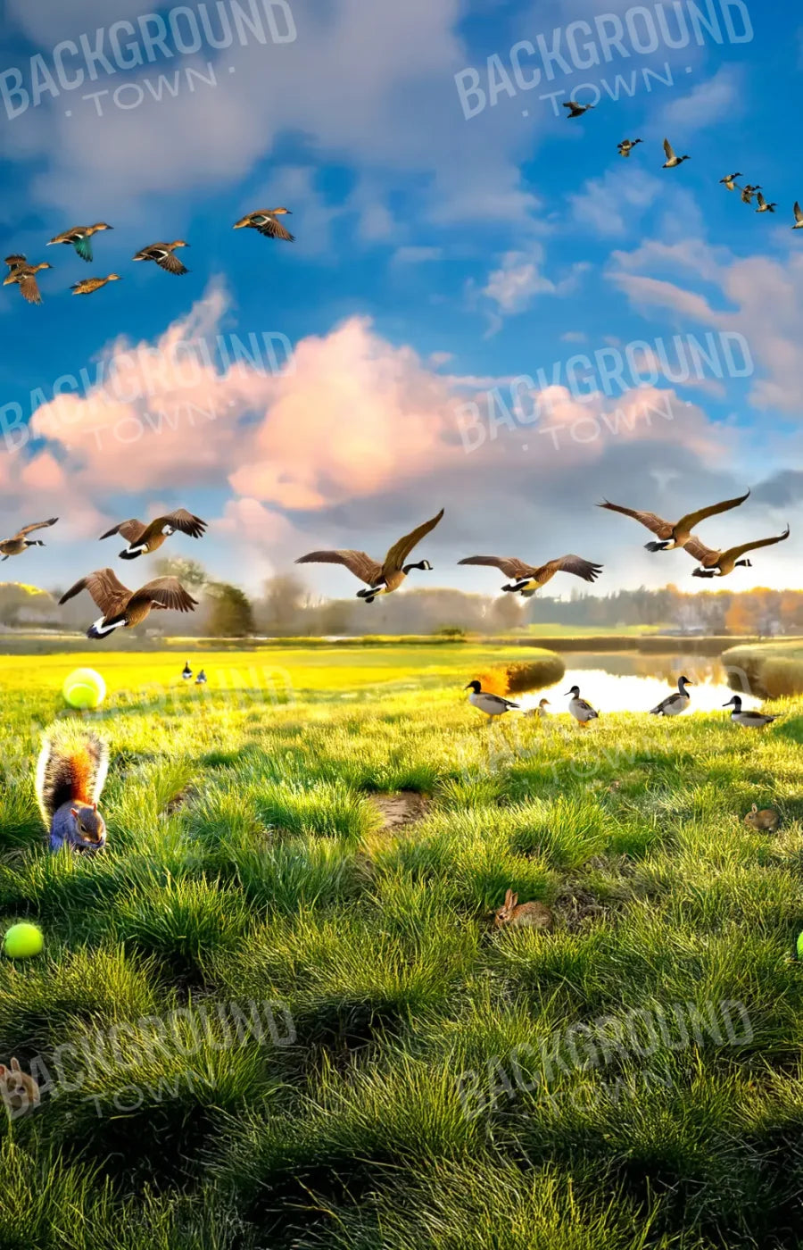 Dog Dreams 9’x14’ UltraCloth (108 x 168 inch) Backdrop