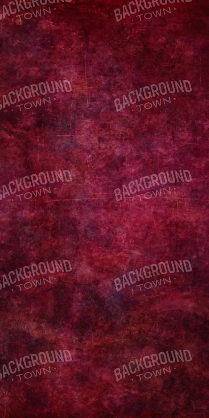 Dolly 10X20 Ultracloth ( 120 X 240 Inch ) Backdrop