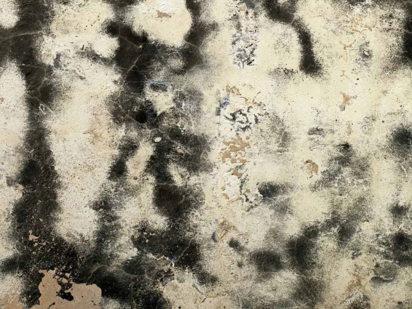 Domain 10’X8’ Fleece (120 X 96 Inch) Backdrop