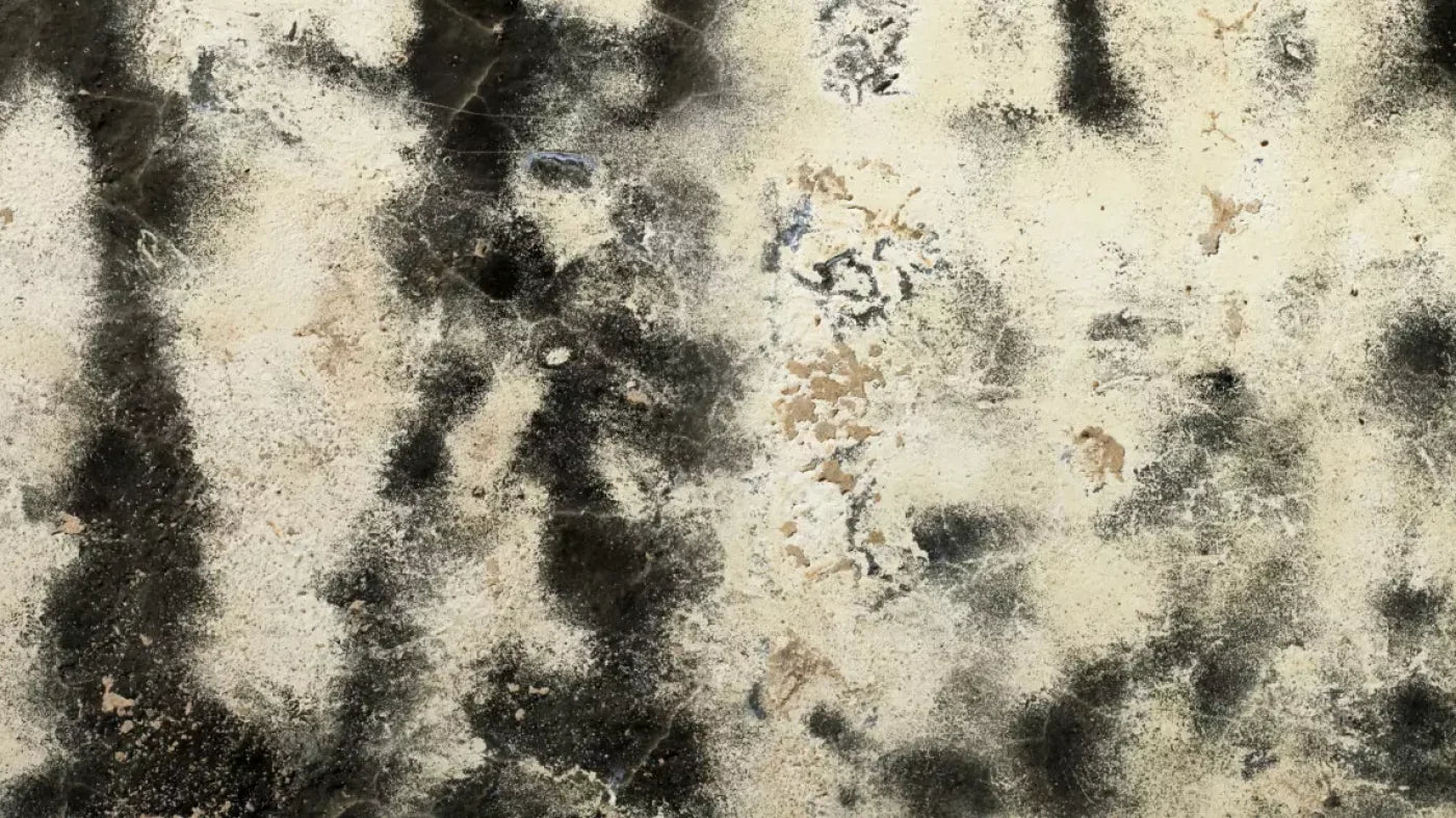 Domain 14’X8’ Ultracloth (168 X 96 Inch) Backdrop