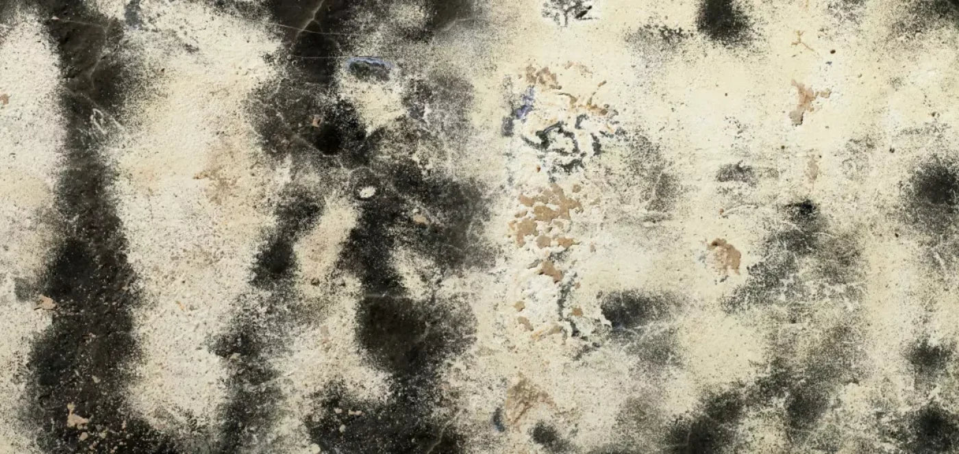 Domain 16’X8’ Ultracloth (192 X 96 Inch) Backdrop