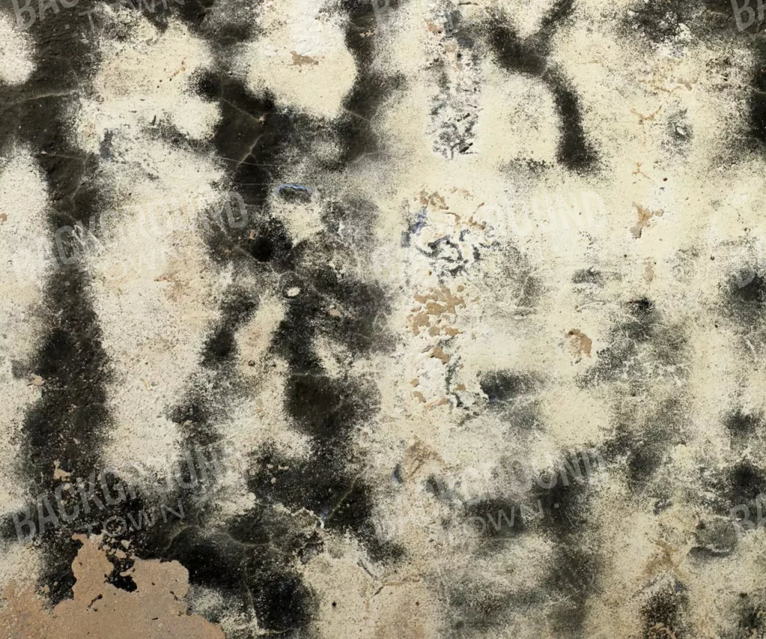 Domain 5’X4’2’’ Fleece (60 X 50 Inch) Backdrop