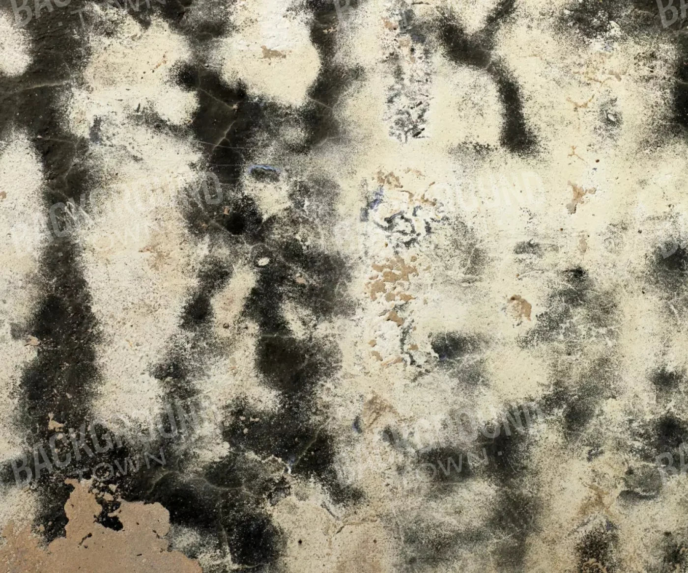 Domain 5’X4’2’’ Fleece (60 X 50 Inch) Backdrop