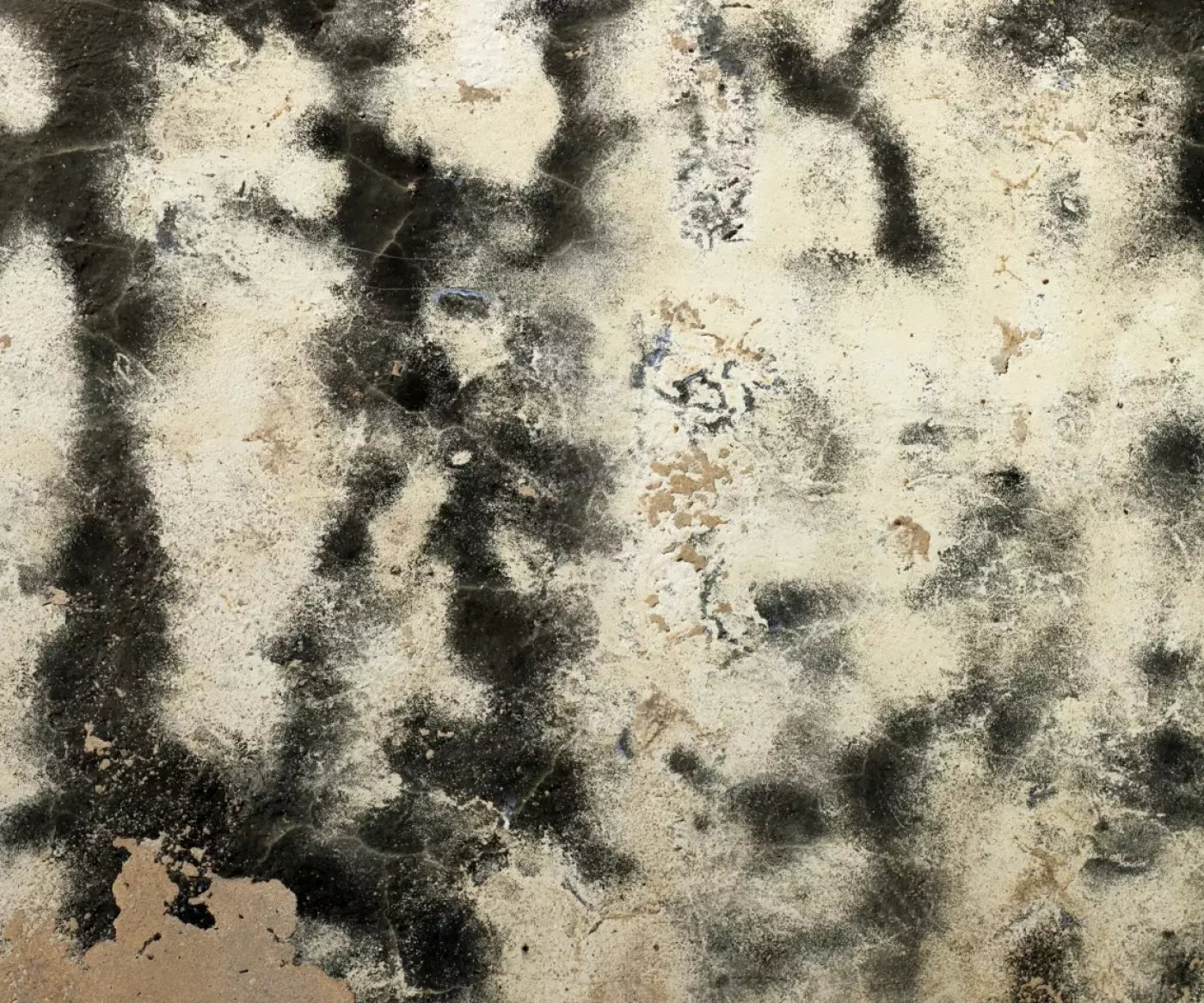 Domain 5’X4’2’’ Fleece (60 X 50 Inch) Backdrop