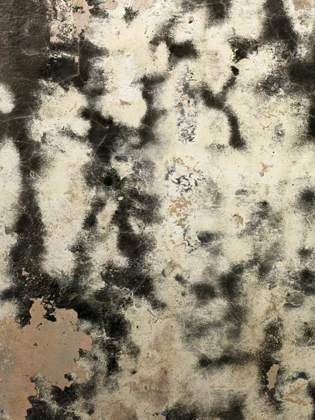 Domain 5’X6’8’’ Fleece (60 X 80 Inch) Backdrop