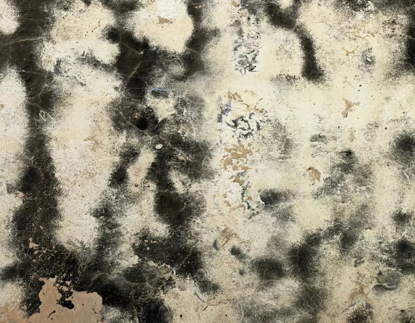 Domain 8’X6’ Fleece (96 X 72 Inch) Backdrop