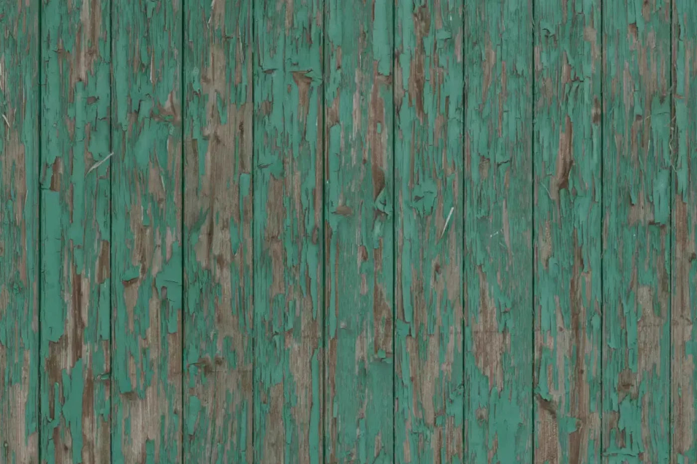 Donovan Backdrop