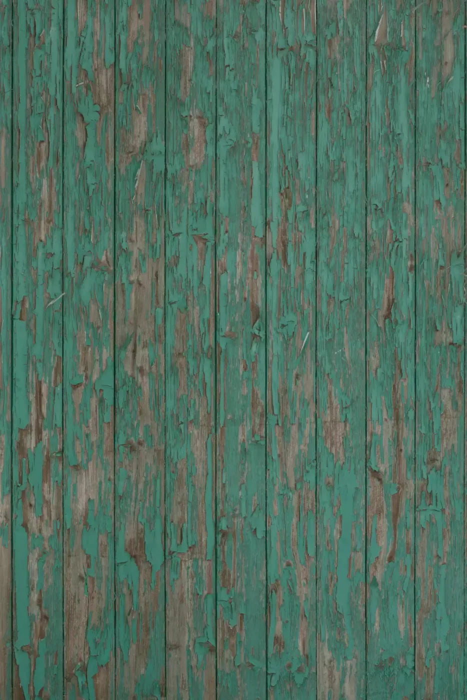 Donovan Backdrop