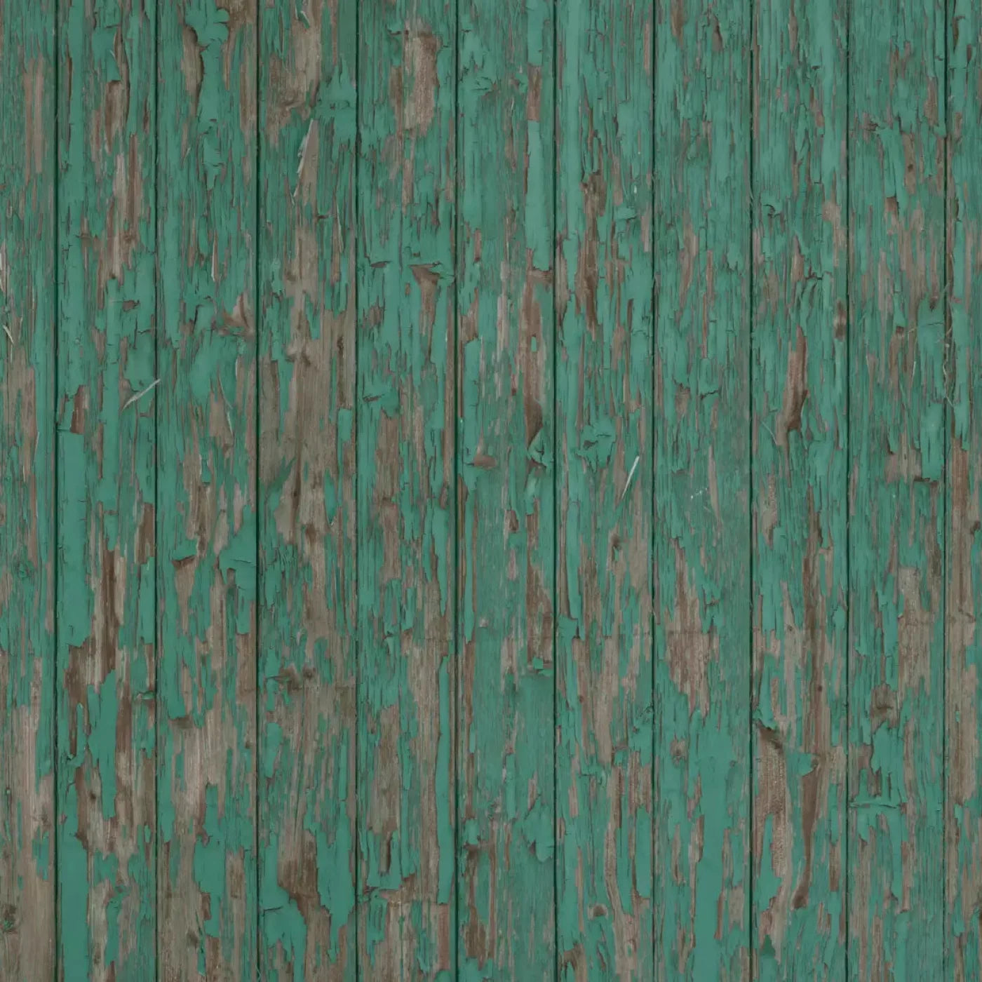 Donovan Backdrop