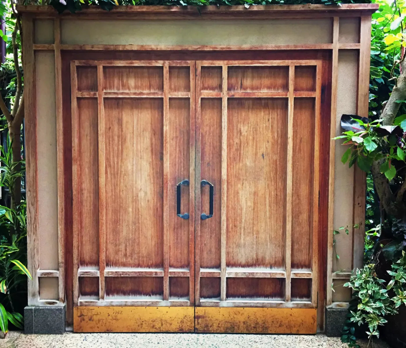 Door To The Jungle 12X10 Ultracloth ( 144 X 120 Inch ) Backdrop