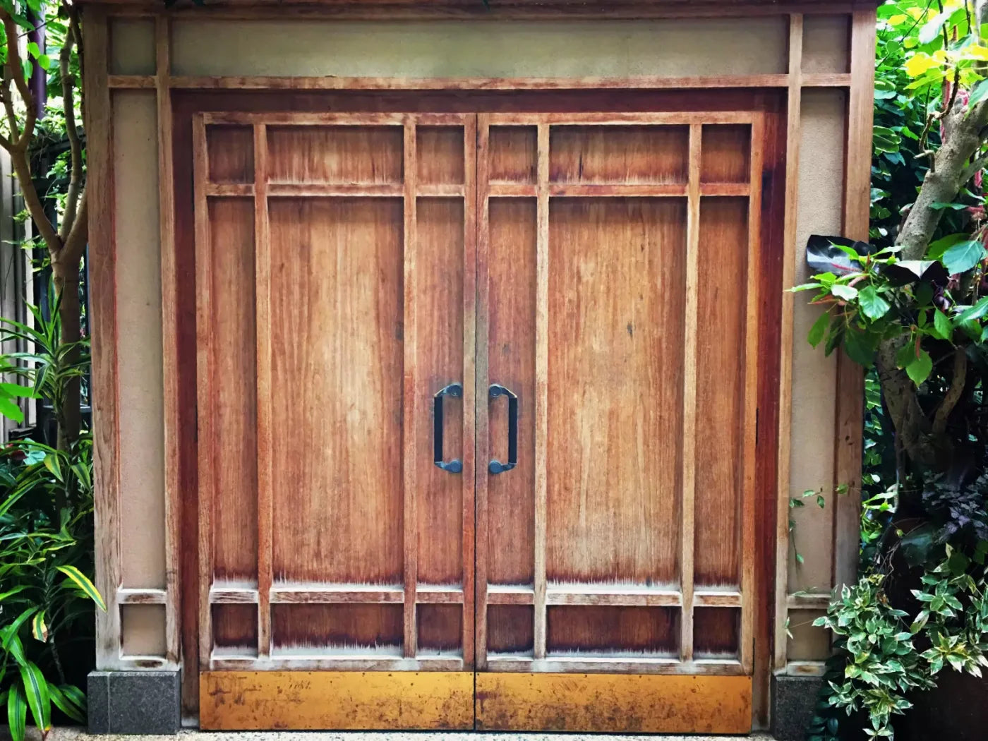 Door To The Jungle 68X5 Fleece ( 80 X 60 Inch ) Backdrop