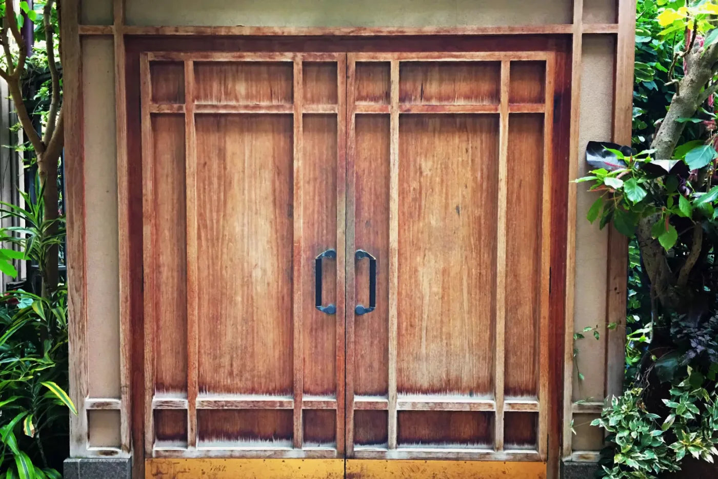 Door To The Jungle 8X5 Ultracloth ( 96 X 60 Inch ) Backdrop