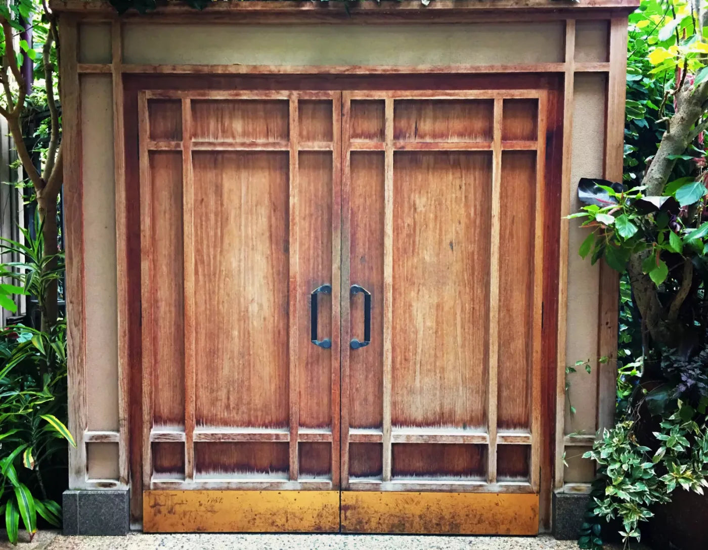 Door To The Jungle 8X6 Fleece ( 96 X 72 Inch ) Backdrop