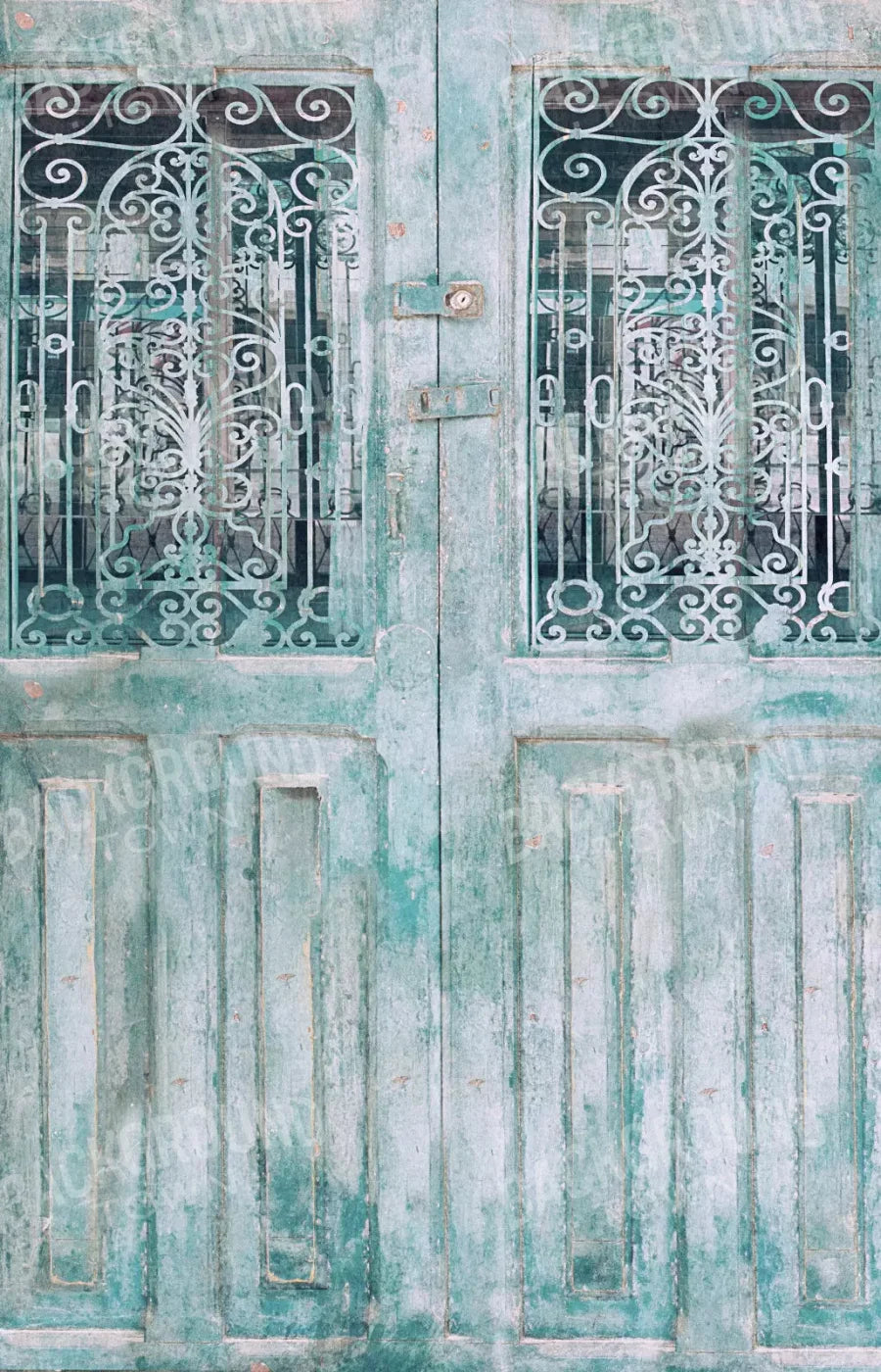 Doora3 8X12 Ultracloth ( 96 X 144 Inch ) Backdrop