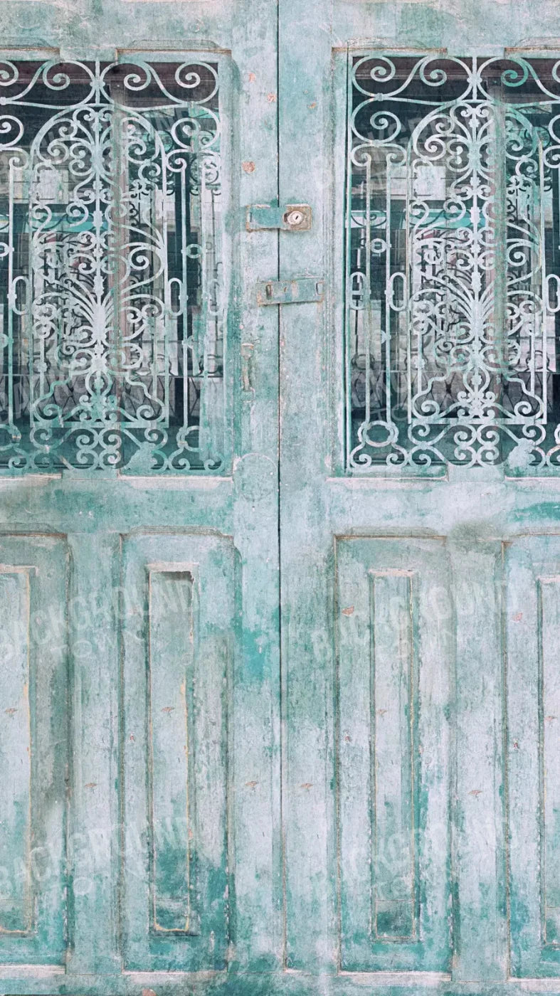 Doora3 8X14 Ultracloth ( 96 X 168 Inch ) Backdrop