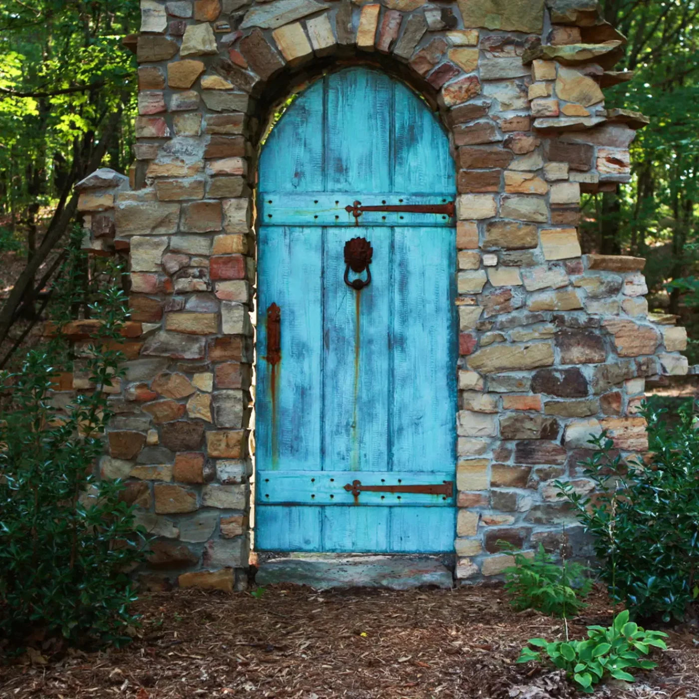 Doorway To Dreams 10X10 Ultracloth ( 120 X Inch ) Backdrop