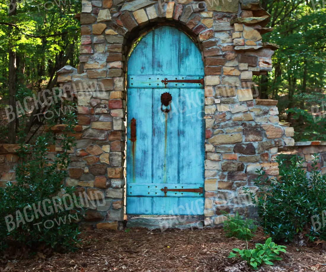 Doorway To Dreams 5X42 Fleece ( 60 X 50 Inch ) Backdrop