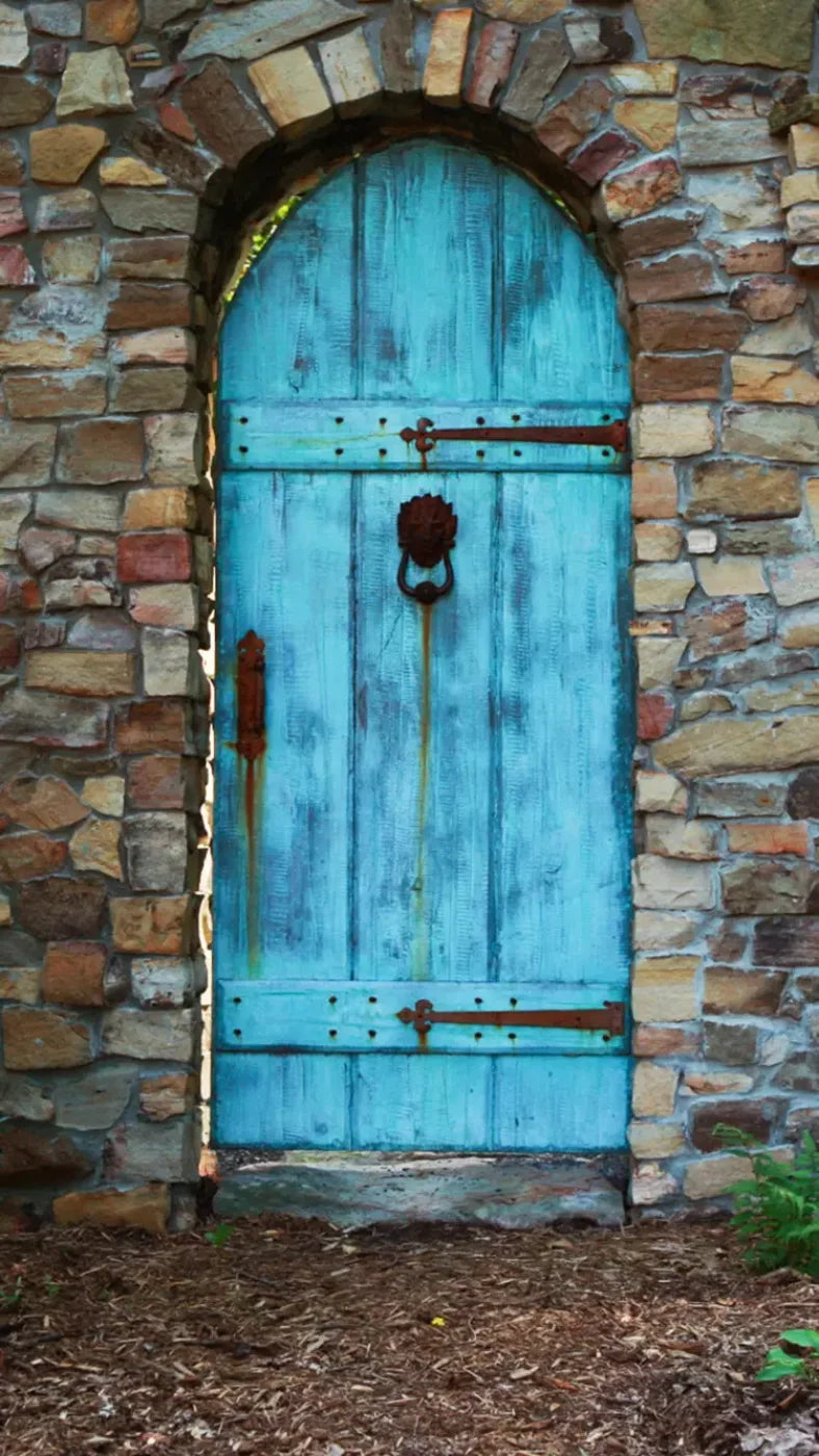 Doorway To Dreams 8X14 Ultracloth ( 96 X 168 Inch ) Backdrop